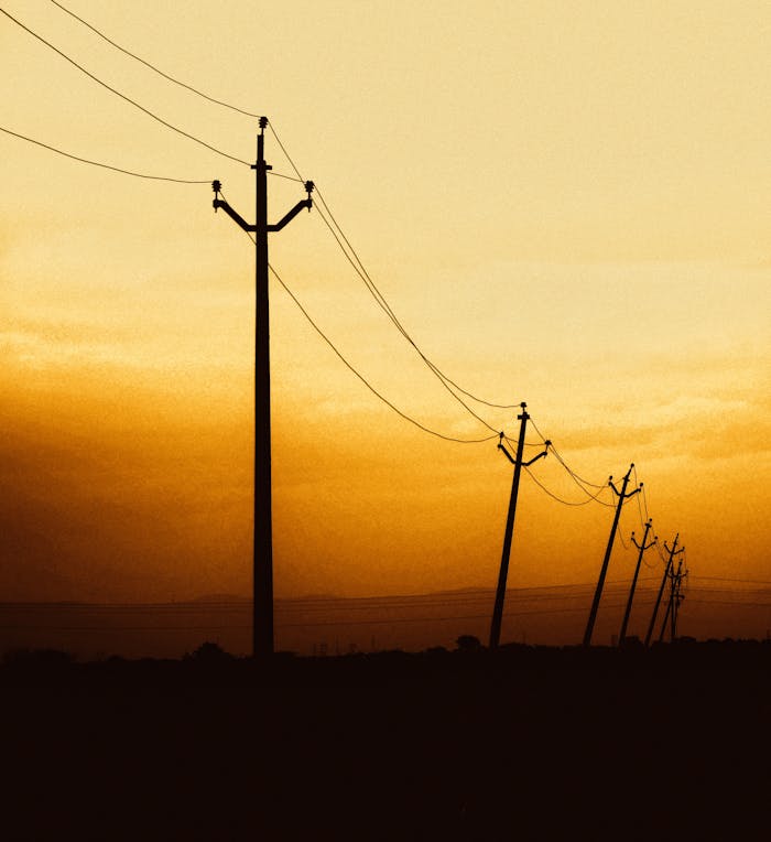 Electric pole amidst vast fields in Pabna, Bangladesh, showcasing rural energy infrastructure.